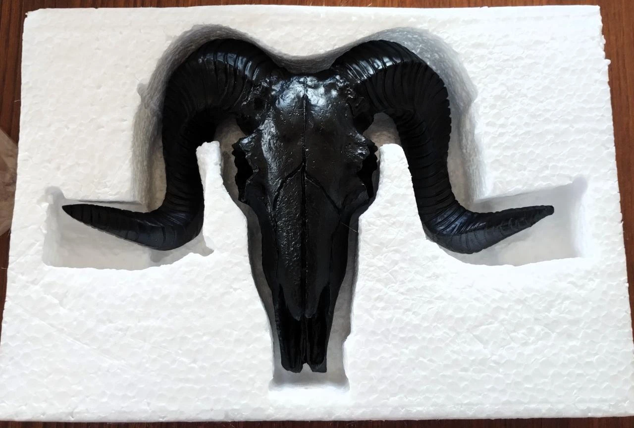 Caveira Crânio Carneiro Decorativo – photo 4